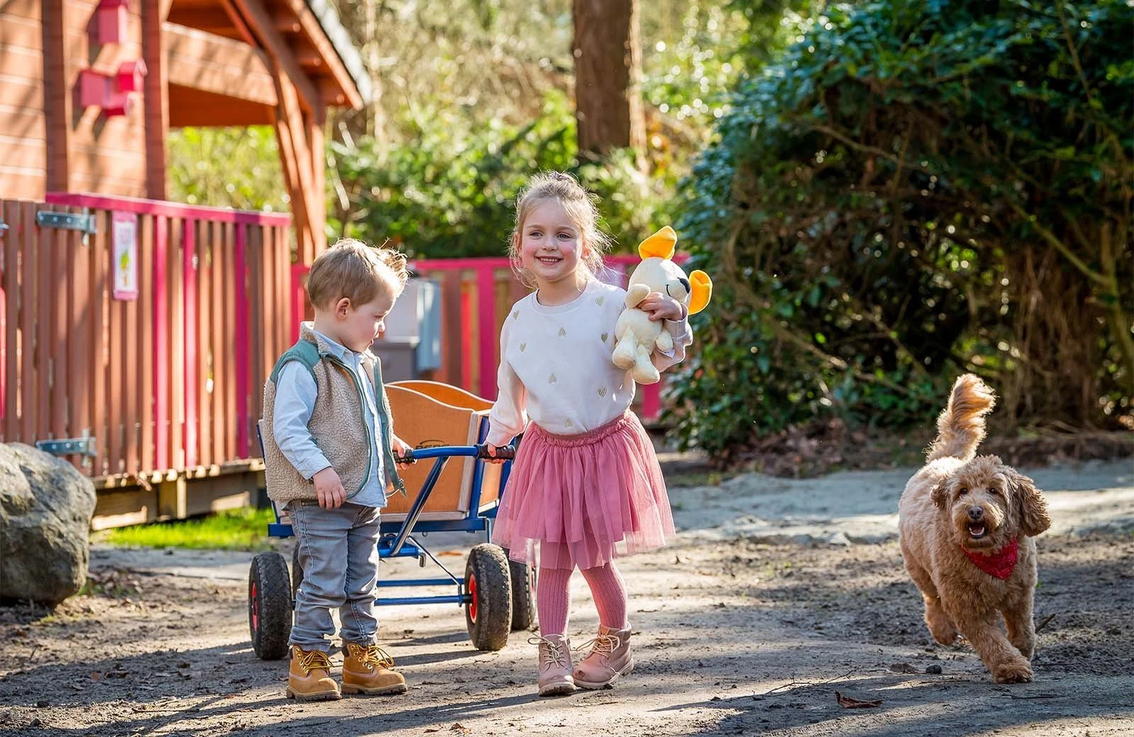 Wijze varen lodge buiten